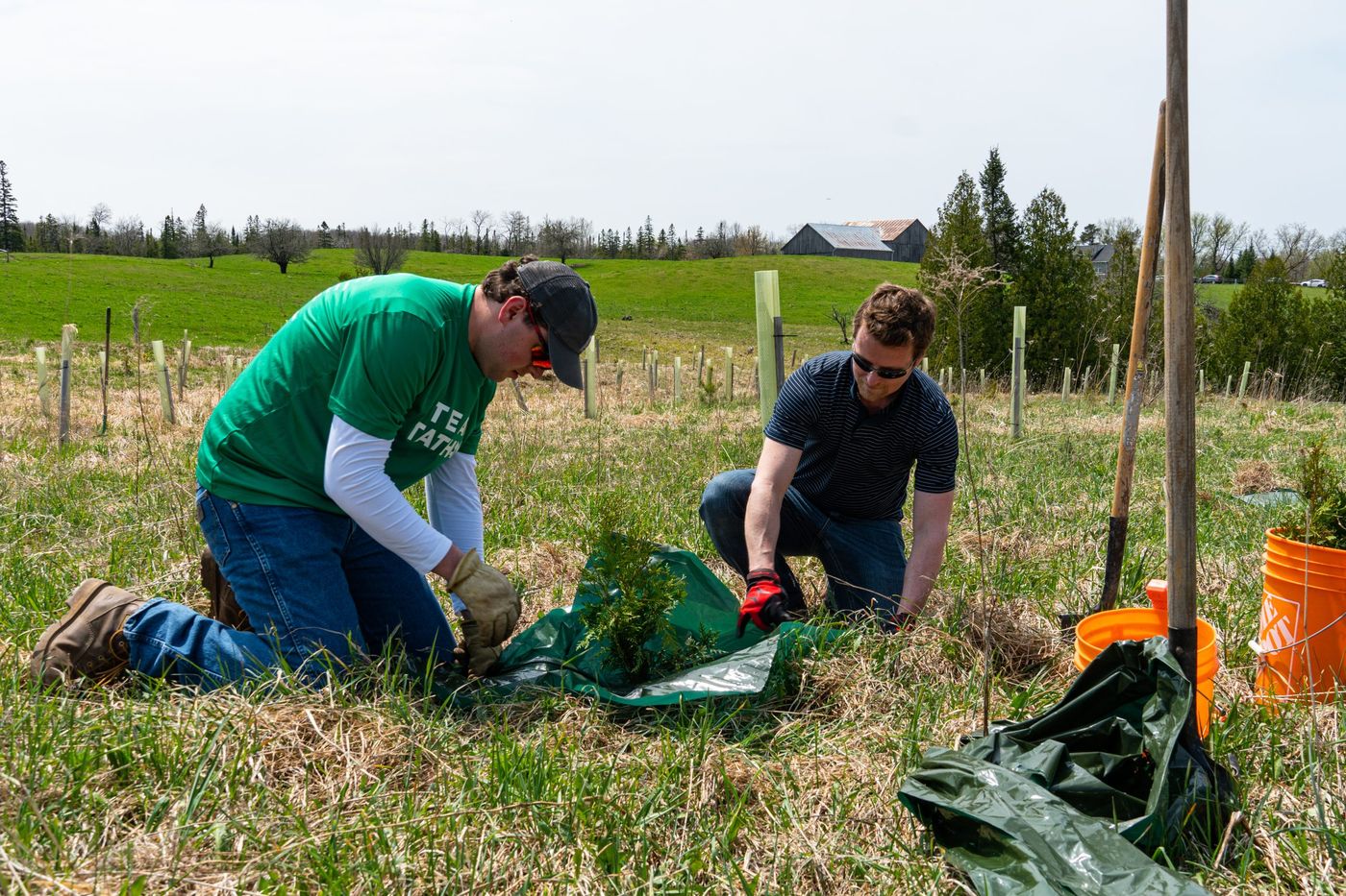 Tatham Engineering staff participating in a community planting initiative